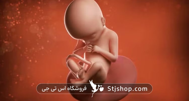 هفته بیست و دو بارداری چه علائمی دارد؟ + راهنمایی کامل صفر تا صد